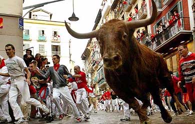 Sanfermines. Pamplona.